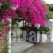 Lefka_best deals_Hotel_Crete_Chania_Platanias