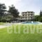 Azur_best deals_Hotel_Macedonia_Halkidiki_Kryopigi