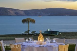 Makis Inn Resort_holidays_in_Hotel_Peloponesse_Argolida_Ermioni