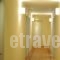 Elena Hotel_lowest prices_in_Hotel_Central Greece_Fthiotida_Kamena Vourla