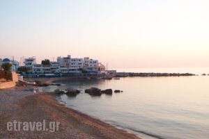 Adonis Hotel_accommodation_in_Hotel_Cyclades Islands_Naxos_Agia Anna