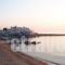 Adonis Hotel_accommodation_in_Hotel_Cyclades Islands_Naxos_Agia Anna