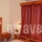 Afroditi Studios_best deals_Hotel_Dodekanessos Islands_Kalimnos_Kalimnos Rest Areas