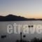 Glaros Studios_best prices_in_Hotel_Central Greece_Evia_Edipsos