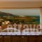 Eleni Studios_lowest prices_in_Hotel_Crete_Lasithi_Ammoudara