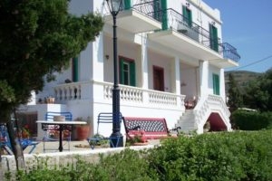 Blue Dolphin_accommodation_in_Hotel_Cyclades Islands_Andros_Batsi