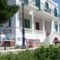 Blue Dolphin_accommodation_in_Hotel_Cyclades Islands_Andros_Batsi