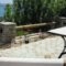 Blue Dolphin_best deals_Hotel_Cyclades Islands_Andros_Batsi