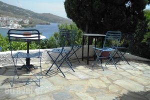 Blue Dolphin_holidays_in_Hotel_Cyclades Islands_Andros_Batsi