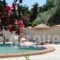 Aggelos Studio_lowest prices_in_Hotel_Sporades Islands_Skiathos_Skiathoshora