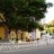 The Garden'S Studios_accommodation_in_Hotel_Ionian Islands_Kefalonia_Kefalonia'st Areas