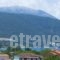 Muses Studios_accommodation_in_Hotel_Ionian Islands_Kefalonia_Kefalonia'st Areas