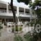 Maria Studios_best deals_Hotel_Sporades Islands_Alonnisos_Patitiri