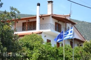 Dimitras House_holidays_in_Hotel_Peloponesse_Arcadia_Astros