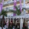 Europe_best deals_Hotel_Macedonia_Pieria_Paralia Katerinis