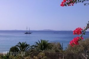 Zephyros_travel_packages_in_Cyclades Islands_Tinos_Tinos Rest Areas