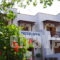 Effie_holidays_in_Hotel_Dodekanessos Islands_Patmos_Skala