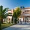 Playa Del Zante_lowest prices_in_Room_Ionian Islands_Zakinthos_Alykes