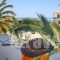 Dolphin_best deals_Hotel_Sporades Islands_Skopelos_Skopelos Chora