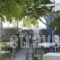 Aegeon_accommodation_in_Hotel_Cyclades Islands_Paros_Paros Chora