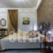 Hotel Gousias_best prices_in_Hotel_Epirus_Ioannina_Ioannina City