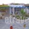 Bungalows Cosmarie_accommodation_in_Hotel_Cyclades Islands_Paros_Paros Chora