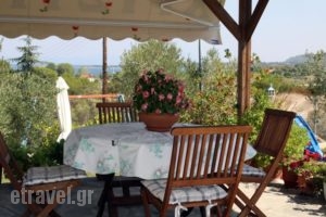 House Christina_holidays_in_Hotel_Macedonia_Halkidiki_Chalkidiki Area