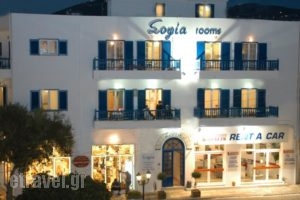 Sofia_accommodation_in_Hotel_Cyclades Islands_Tinos_Tinos Chora