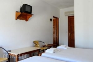 Studio Soti_best prices_in_Hotel_Aegean Islands_Thasos_Thasos Chora