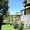 Palirria Hotel & Studios_best deals_Hotel_Thessaly_Magnesia_Almiros