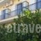 Hotel Galini_accommodation_in_Hotel_Epirus_Preveza_Parga