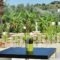 Olive Garden Hotel_best deals_Hotel_Dodekanessos Islands_Rhodes_Lindos