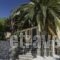 Vagia Hotel_accommodation_in_Hotel_Piraeus islands - Trizonia_Aigina_Aigina Rest Areas