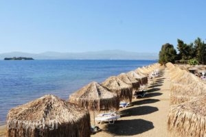 Grand Bleu_best deals_Hotel_Central Greece_Evia_Eretria