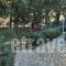 Hotel Orama_best deals_Hotel_Central Greece_Evia_Limni