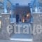 Studio Irini_travel_packages_in_Cyclades Islands_Sandorini_Perissa