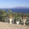 Aristea Studios_accommodation_in_Hotel_Ionian Islands_Kefalonia_Kefalonia'st Areas