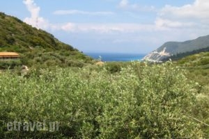 Ionio Studios_accommodation_in_Hotel_Ionian Islands_Lefkada_Lefkada's t Areas