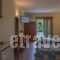 Asteras_best deals_Hotel_Macedonia_Halkidiki_Sarti