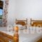 Vaso -Alykanas Studios_best deals_Room_Ionian Islands_Zakinthos_Alikanas