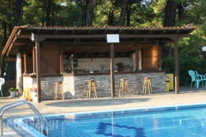 Maria's House_holidays_in_Hotel_Macedonia_Halkidiki_Chalkidiki Area