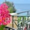 Evia Studios_best deals_Hotel_Central Greece_Evia_Edipsos