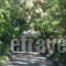 West_best deals_Hotel_Central Greece_Evia_Limni