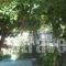 Smile Stella Studios_best deals_Hotel_Sporades Islands_Skopelos_Skopelos Chora