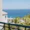 Karras Star Hotel_lowest prices_in_Hotel_Aegean Islands_Ikaria_Raches