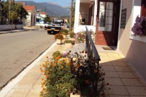 Thodora Appartments_lowest prices_in_Hotel_Ionian Islands_Kefalonia_Kefalonia'st Areas