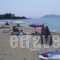 Star Paradise_best prices_in_Hotel_Macedonia_Halkidiki_Neos Marmaras