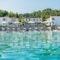 Dolphin Beach Hotel_accommodation_in_Hotel_Macedonia_Halkidiki_Kassandreia