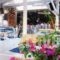 Yianna Hotel_travel_packages_in_Piraeus islands - Trizonia_Agistri_Agistri Rest Areas