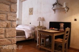 Artsistas Houses_lowest prices_in_Hotel_Epirus_Ioannina_Aristi